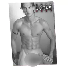 Real Cocks 2027 - erotischer Wandkalender (10 Stk.)