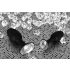 You2Toys - Diamond - Silikon Analplug (klein)
