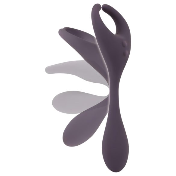 Paare Wahl - Akku Doppel-Motor Vibrator (lila)