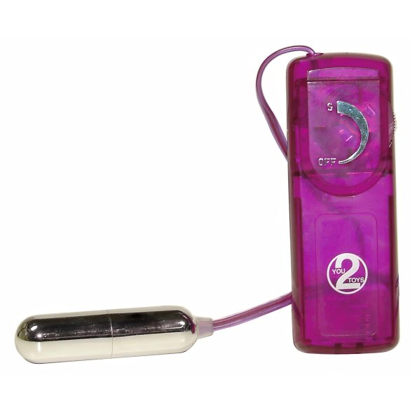 You2Toys - Erotische Überraschungen - Vibrator Set (12 Teile)