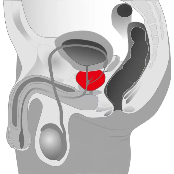 You2Toys - Prostatavibrator mit Rotation (schwarz)