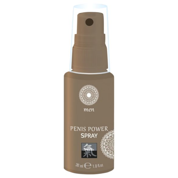 HOT Shiatsu Penis Power - Intim-Spray für Männer (30ml)