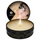 Shunga - Massagekerze - Vanille (30 ml)