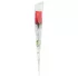 Panty Rose - String im Rosenstil - Rot (S-L)