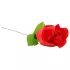 Panty Rose - String im Rosenstil - Rot (S-L)