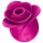 Satisfyer Pro 2 Modern Blossom - Luftwellen-Klitoris-Stimulator (Rosa)