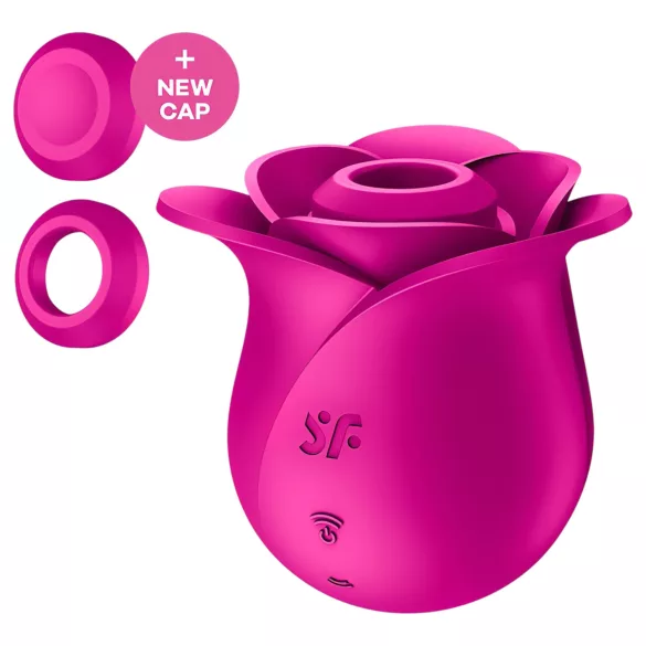 Satisfyer Pro 2 Modern Blossom - Luftwellen-Klitoris-Stimulator (Rosa)