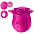 Satisfyer Pro 2 Modern Blossom - Luftwellen-Klitoris-Stimulator (Rosa)