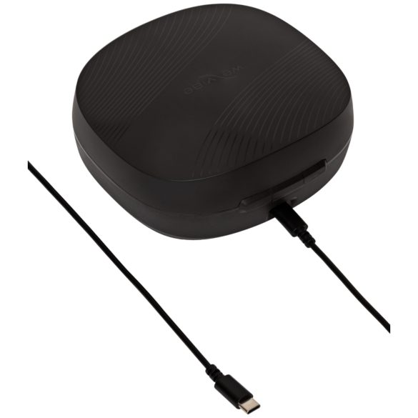 We-Vibe Chorus Pro - intelligenter, fernsteuerbarer Paarvibrator (Schwarz)