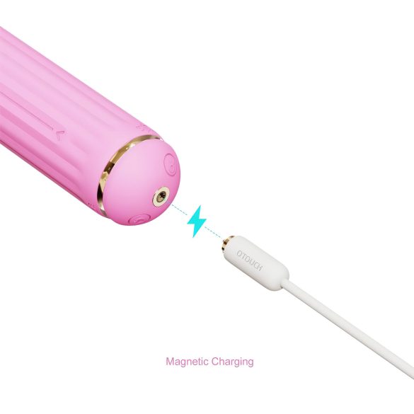 Magic Stick - Vibrator mit Ersatzaufsätzen (Pink)