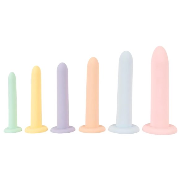 Sechs auf einen Streich - Dildo-Trainingsset - 6 Stk. (bunt)
