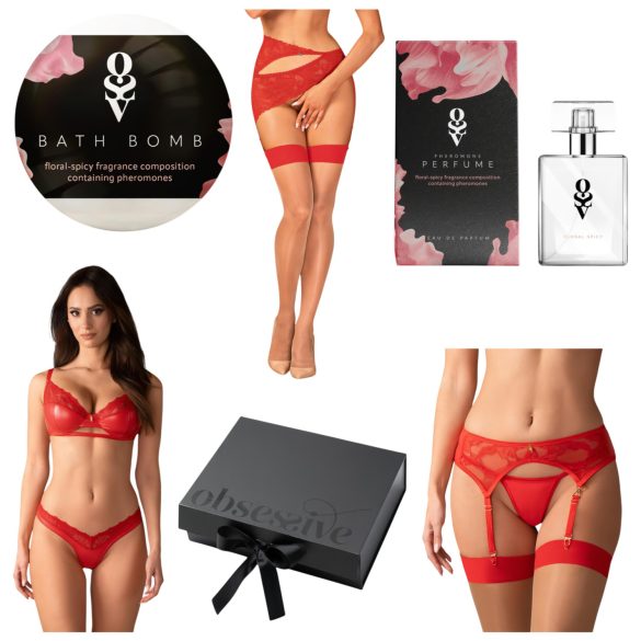 Obsessive Aloisa - Dessous-Geschenkbox - 6-teilig (Rot)