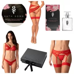   Obsessive Aloisa - Dessous-Geschenkbox - 6-teilig (Rot) - L/XL