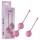 Passion Play - Kegel-Kugel Set (Pink)