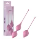 Passion Play - Geishakugel-Set (Pink)