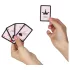 Secret Play Pocket Kamasutra - Sexpositions-Kartenspiel (54 Karten)