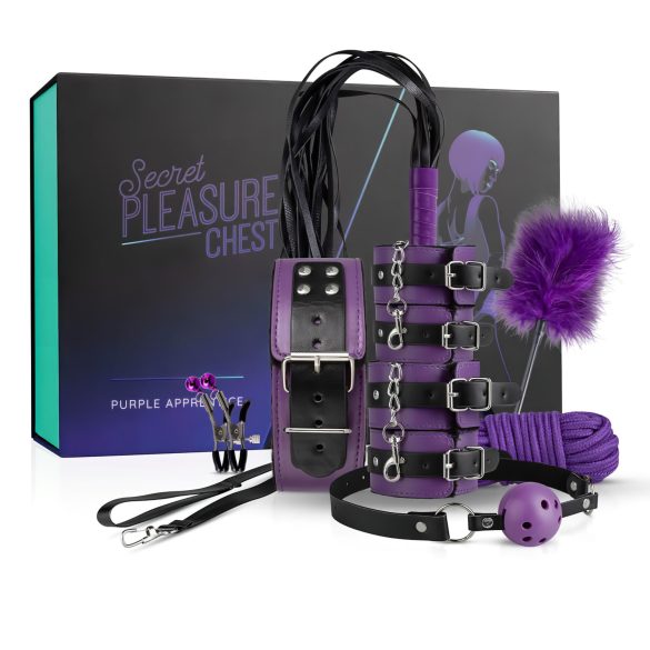 Geheime Lusttruhe - Fortgeschrittenes BDSM-Set (14-teilig)