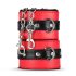 Secret Pleasure Chest - Fortgeschrittenes BDSM-Set - 10-teilig (rot)