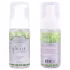 Intimate Earth Green Tee - desinfizierendes und reinigendes Spray (100 ml)