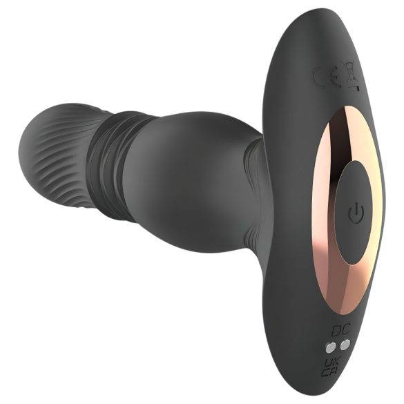 Aixiasia Roy - Akku-Radio-Analdildo (Schwarz)