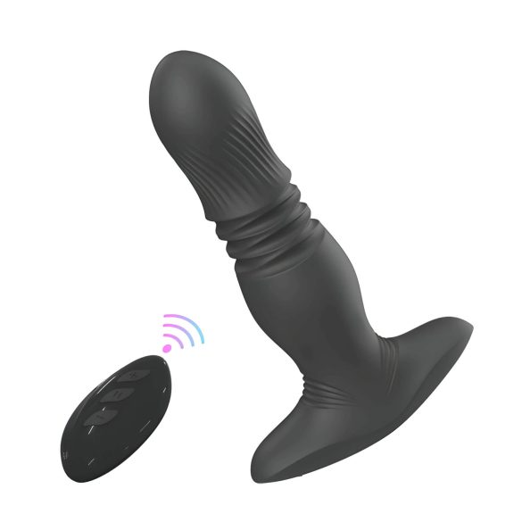 Aixiasia Roy - Akku-Radio-Analdildo (Schwarz)