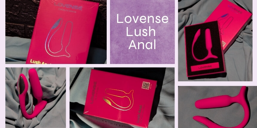 Lovense Lush Anal Erfahrungen im echten Paar-Test | Desirel.ch Sexshop
