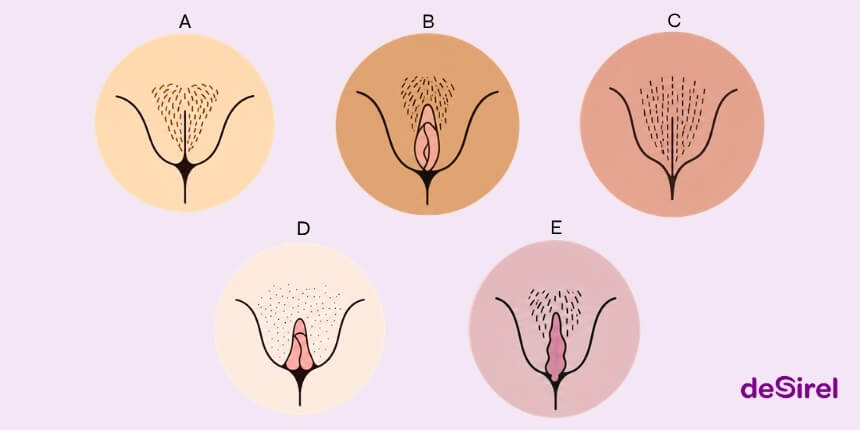 Vagina-Typen und natürliche Vielfalt der Vulva, Ratgeber | Desirel.de Sexshop